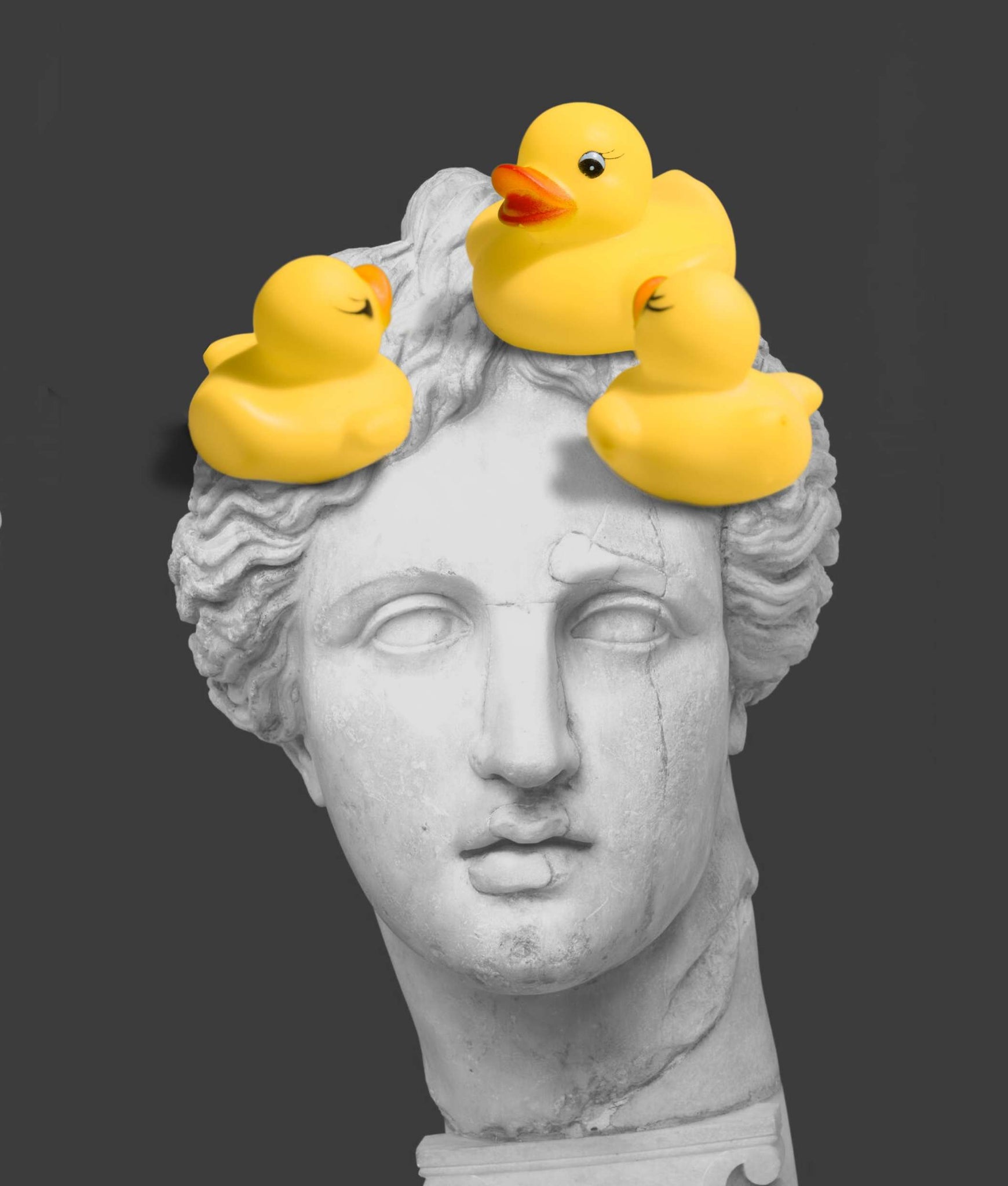 DUCKS